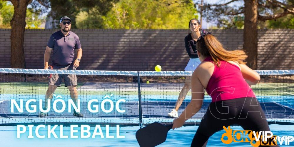 Giới thiệu nguồn gốc của bộ môn thể thao Pickleball